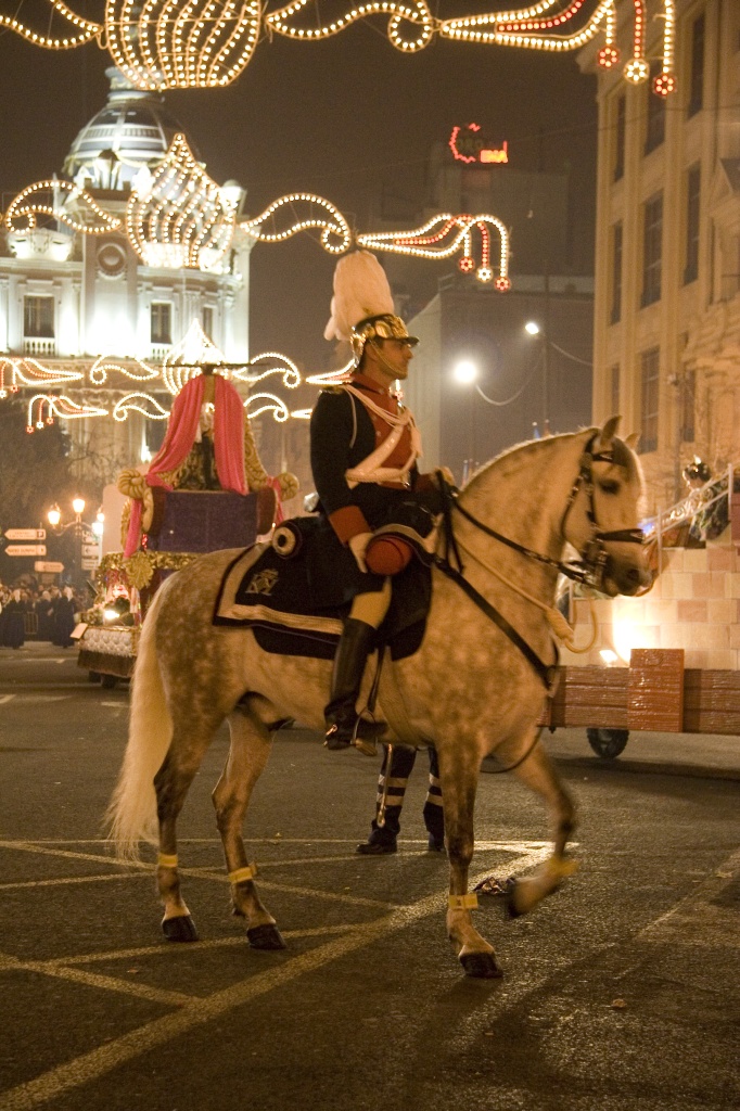 Horseman watches over the parade