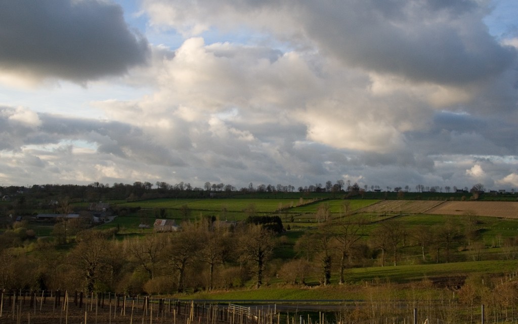 Normandy farmland