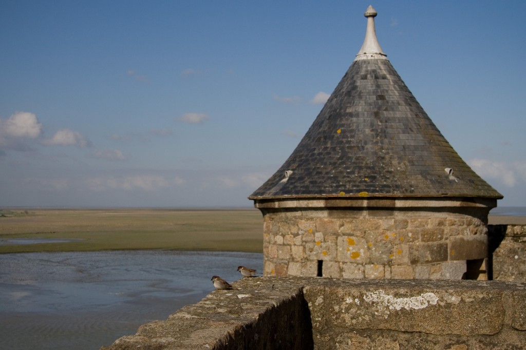 Birds and turrets look over the salt flats