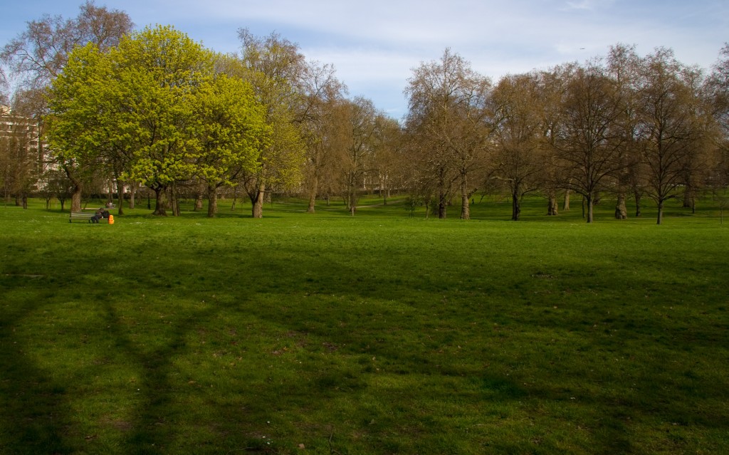 A splash of colour in the park