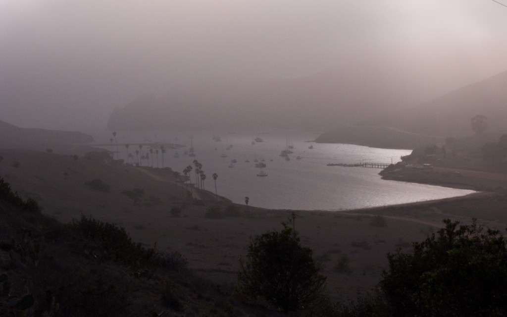 Catalina Harbor