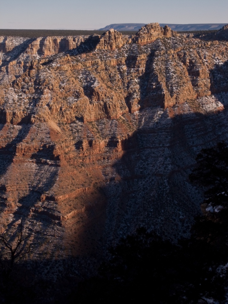 Snow and trees on the Grand Canyon