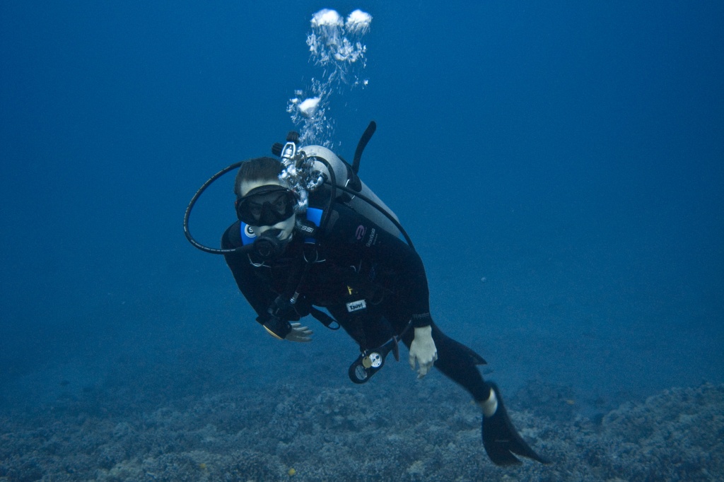 Randi diving