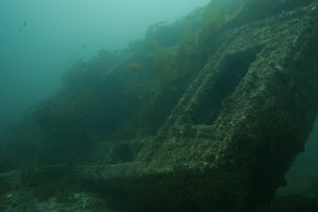 Kismet wreck