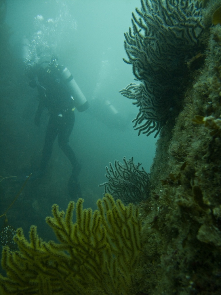 Randi at the Suejac wreck