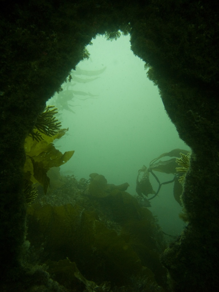 A hole in the Sue -Jac wreck