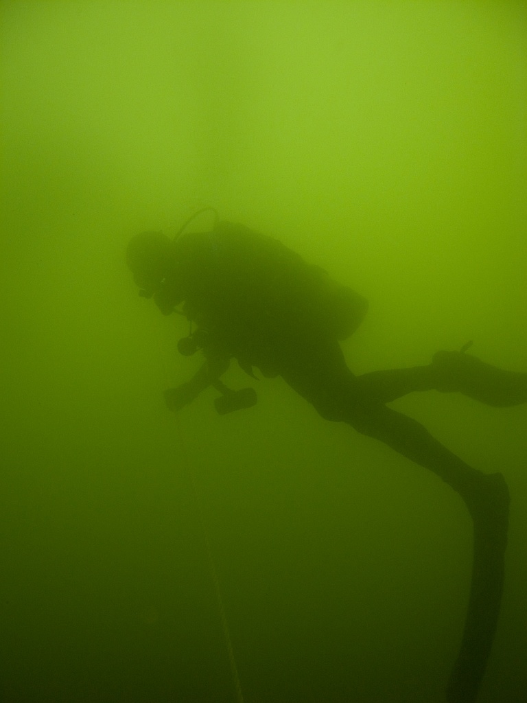 Steve in green water