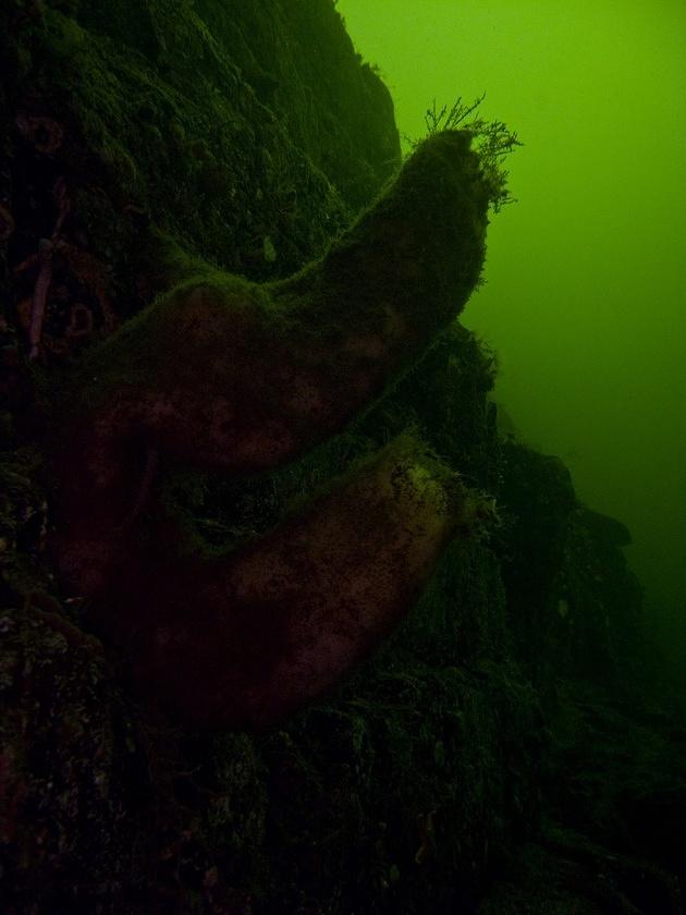 Large tubes and the rock wall