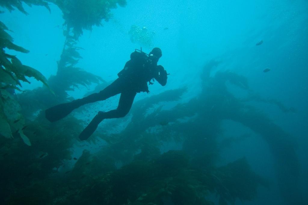 Adam descending along the wall