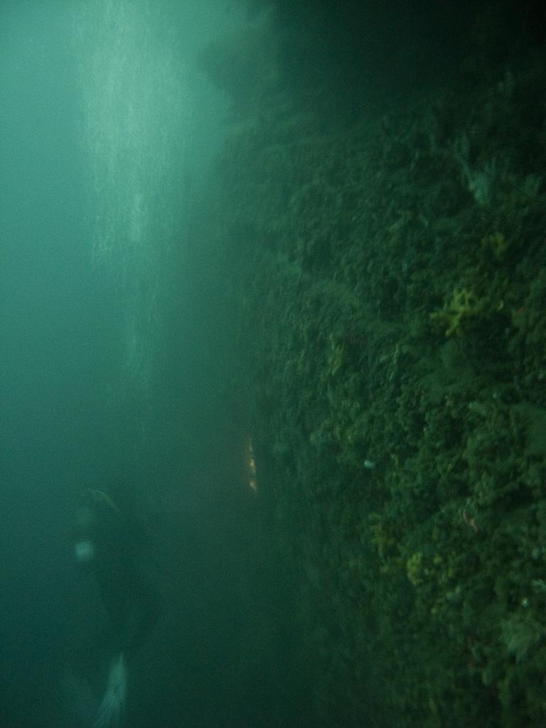 dropping down the canyon wall