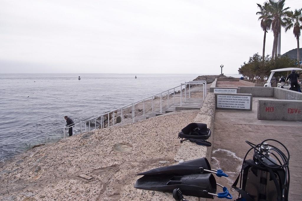 Getting ready to dive at the park