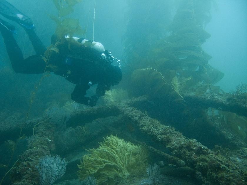 Adam exploring the swim platform