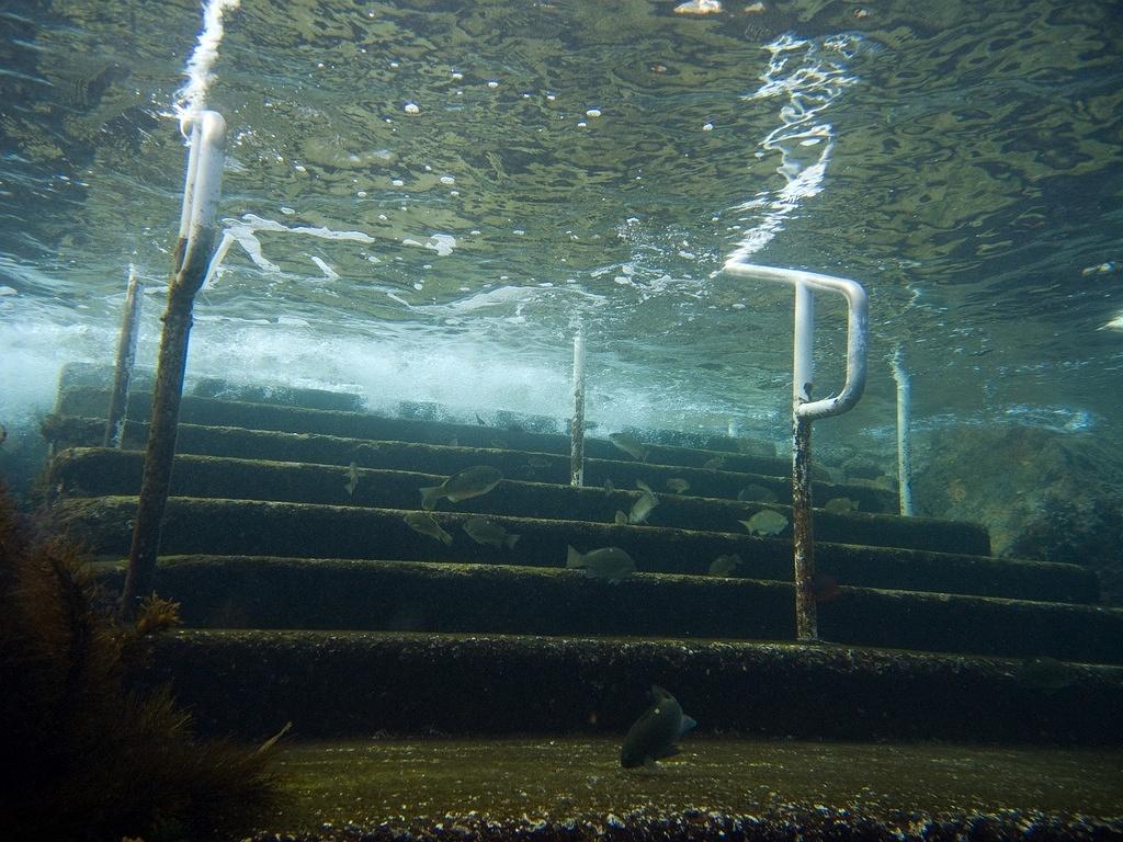 Opaleyes cleaning the stairs