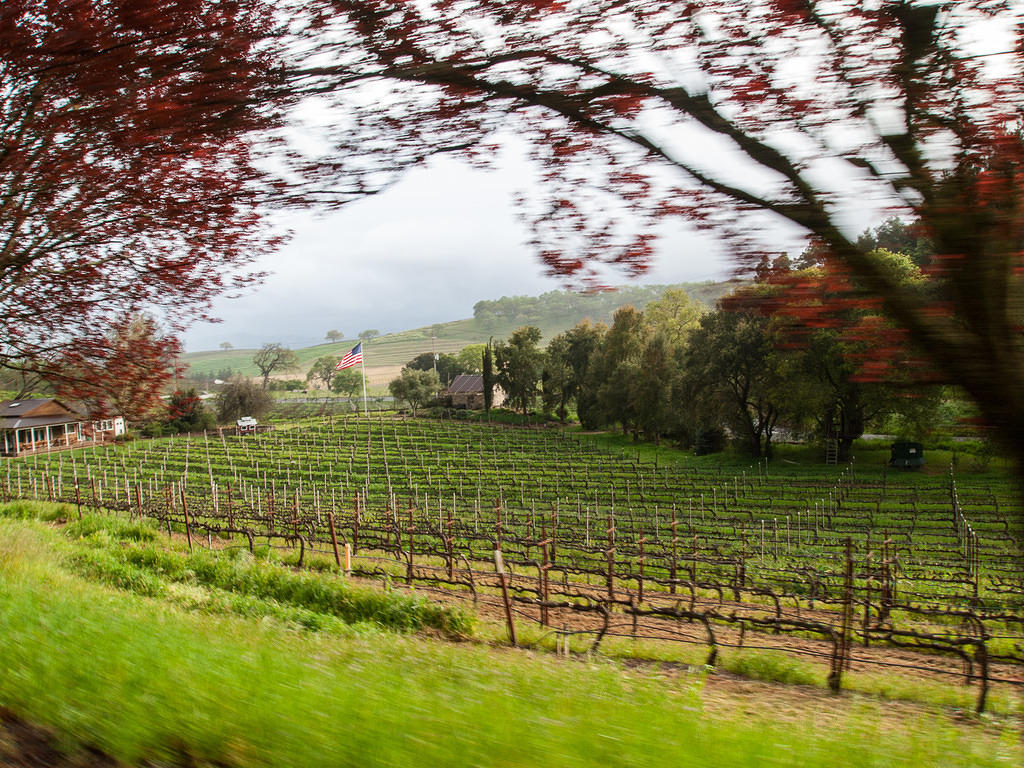 Zooming by the The Terraces