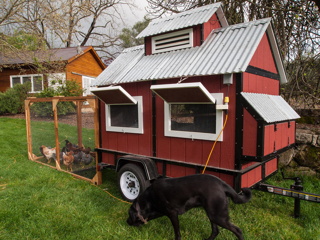 Laying hen house