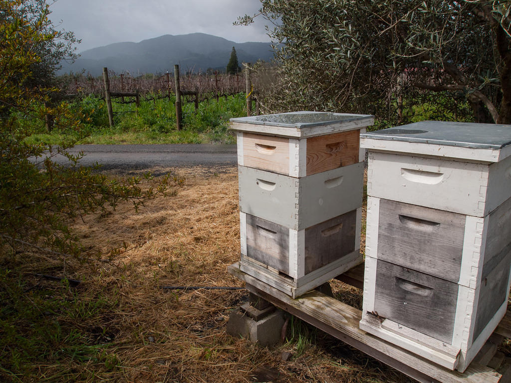 Bee hives