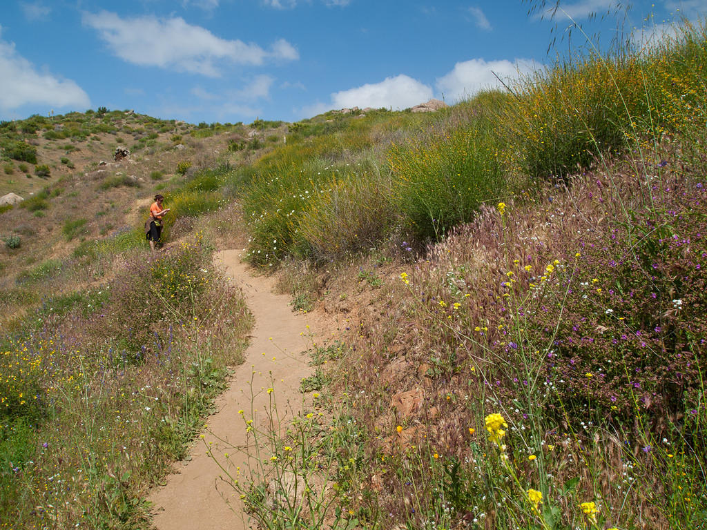 Anna taking trail photos