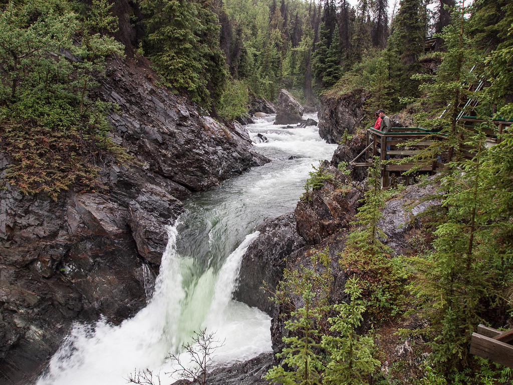 Watching the falls