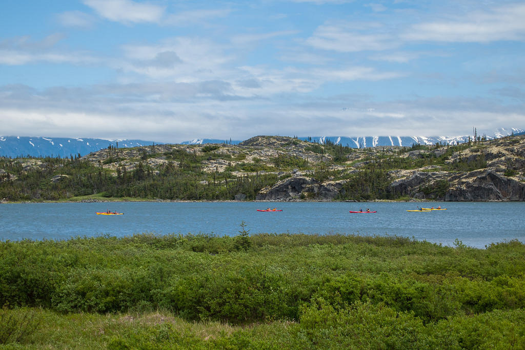 Kayakers near Fraser