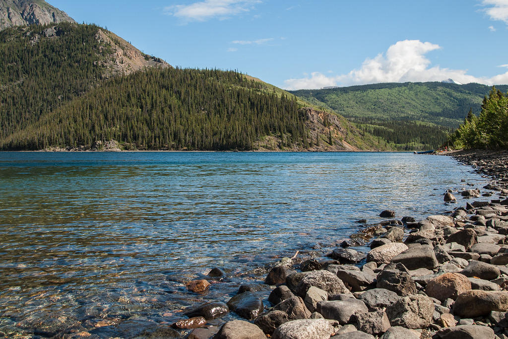 Tutshi Lake shore