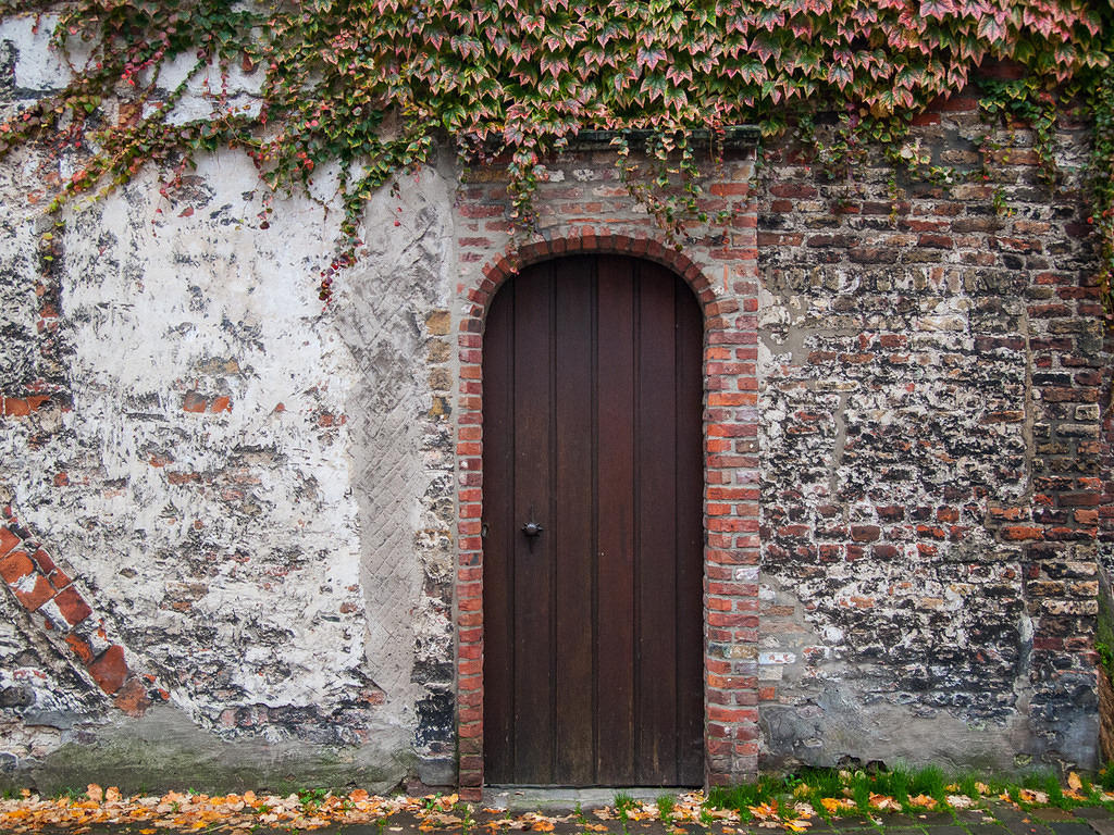 Wooden door