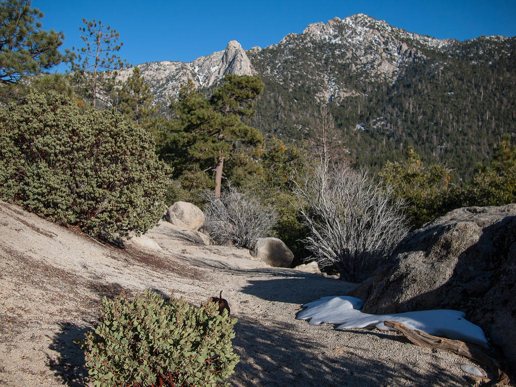 Wandering in Idyllwild