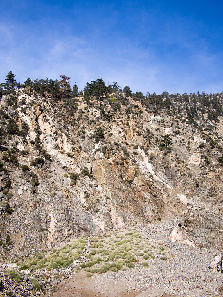 Angeles National Forest