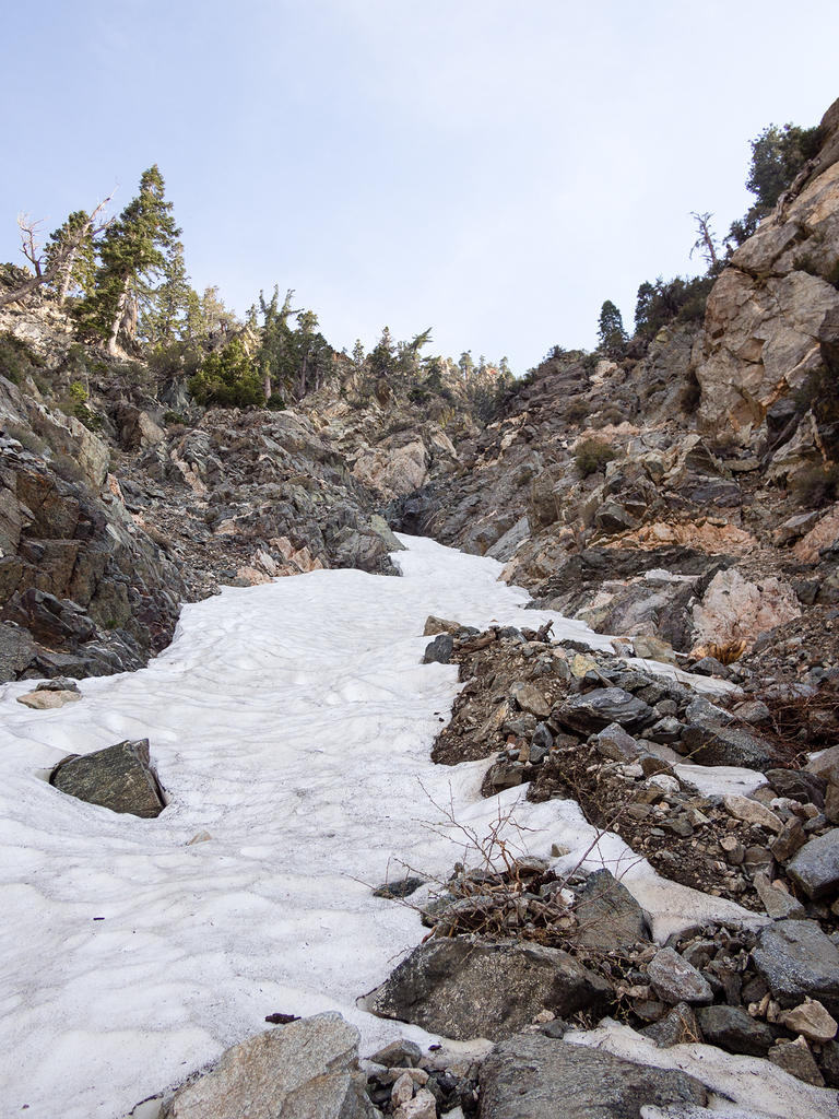 Last bits of snow