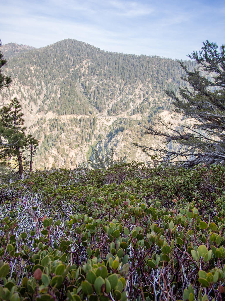 Angeles National Forest