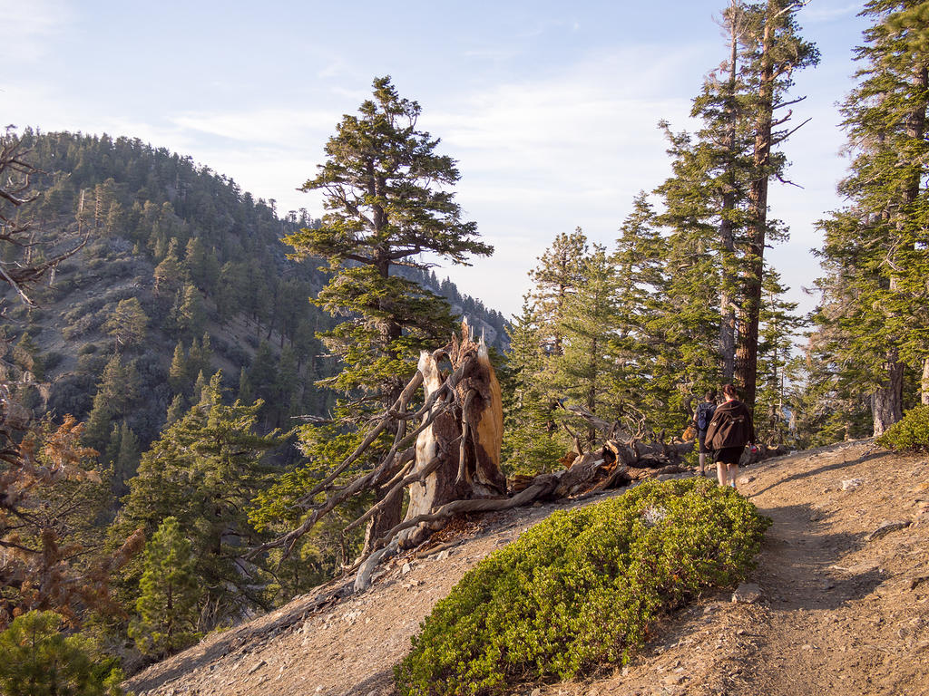 Hikinng Angeles National Forest