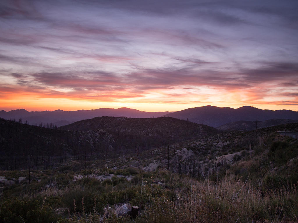 Sunset over a recent forest fire