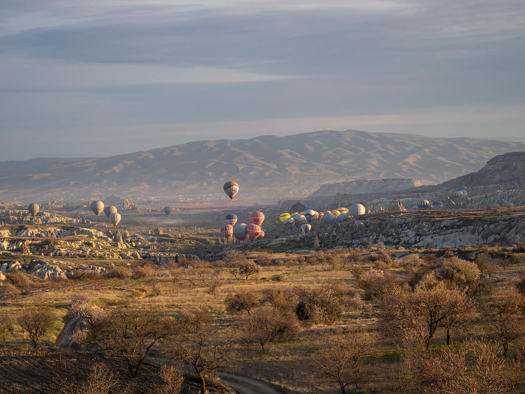 Cappadocia Balloon flight