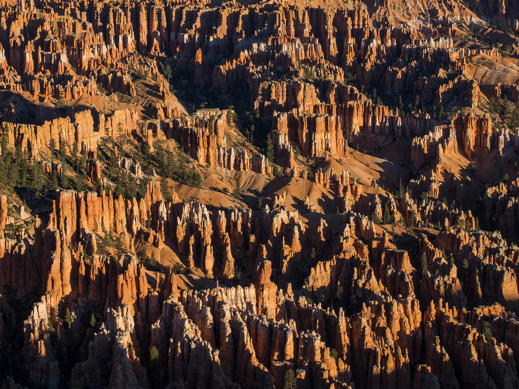 Morning hoodoos