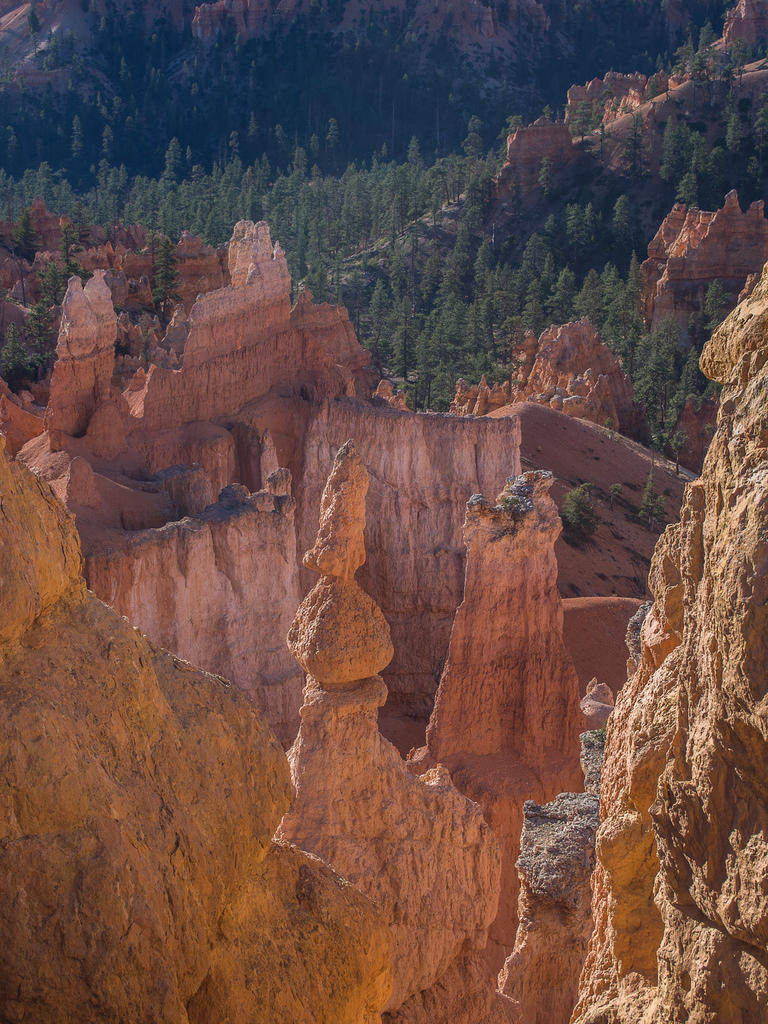 Bryce hoodoos