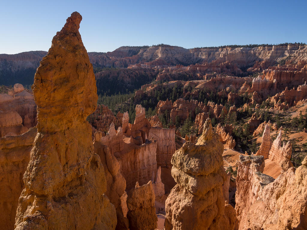 Bryce hoodoos