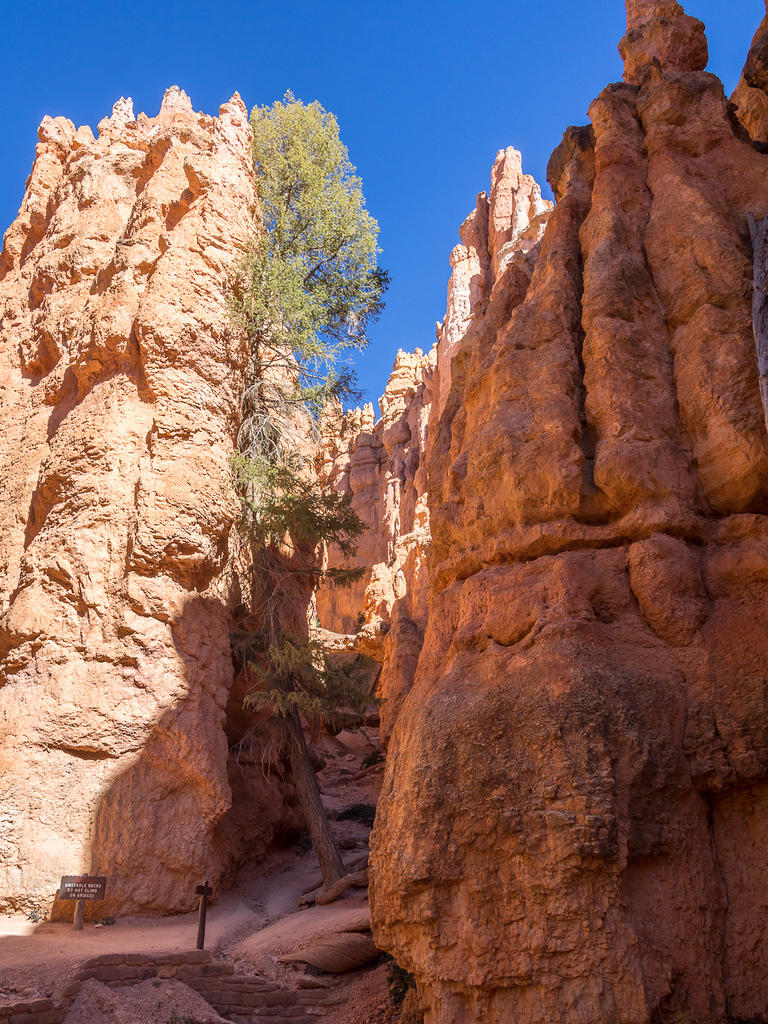 Navajo Trail