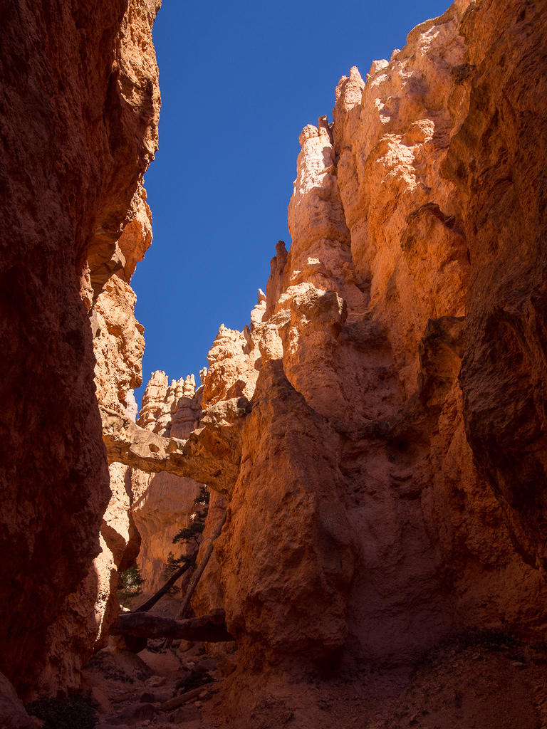 Bridges on Navajo Trail