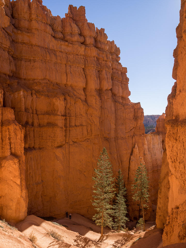 Navajo Trail