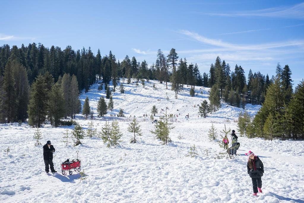 Sledding