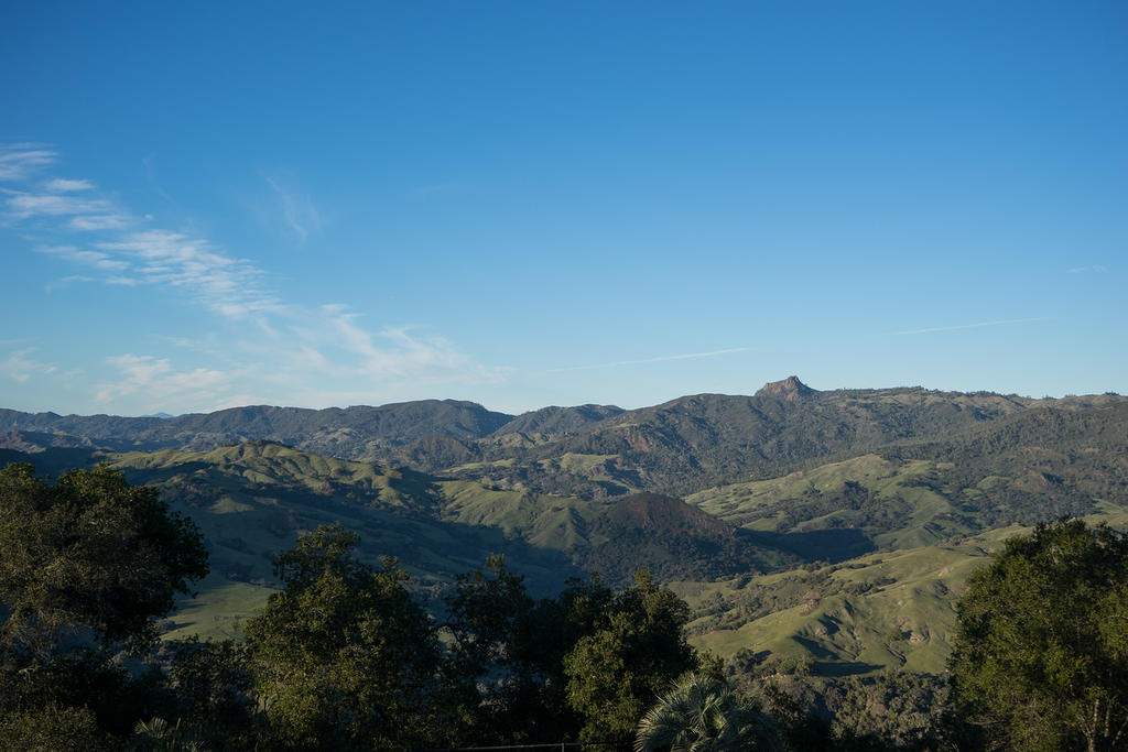 Hearst Castle