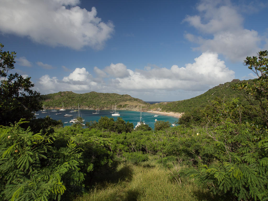 View of Anse de Colombier