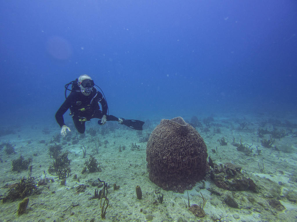 Paul and a sponge bigger than he is