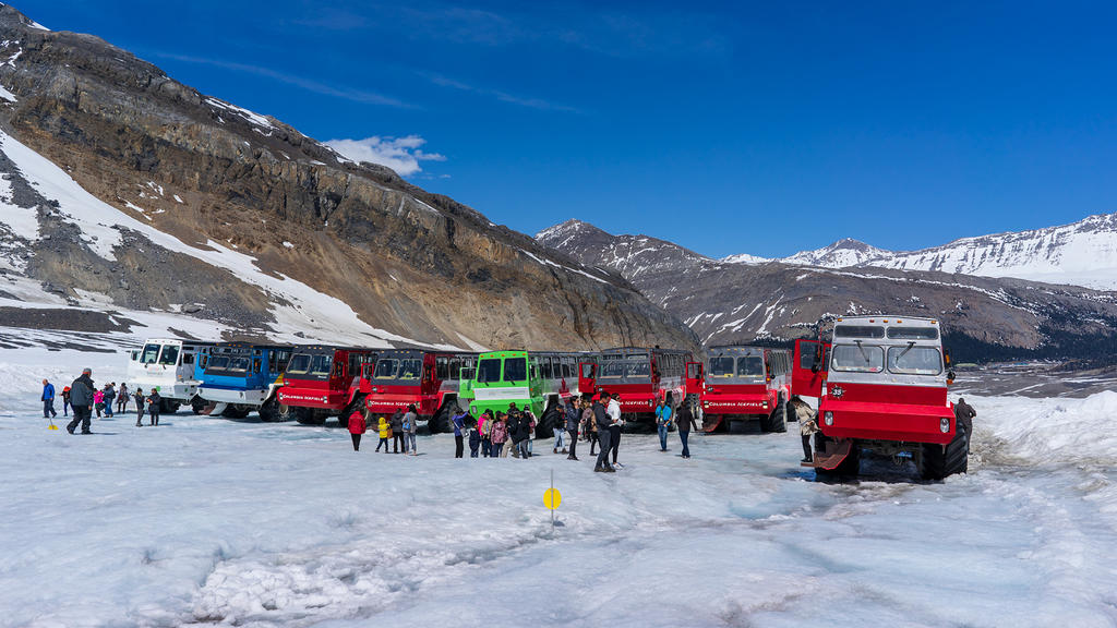 Columbia Icefields parking lot