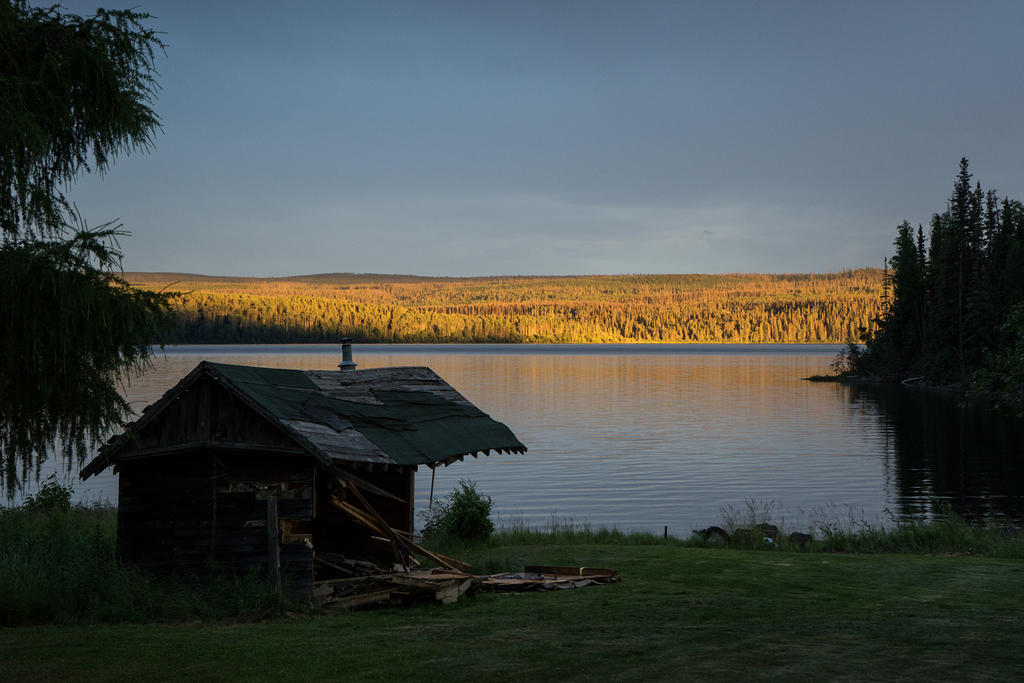 Evening light