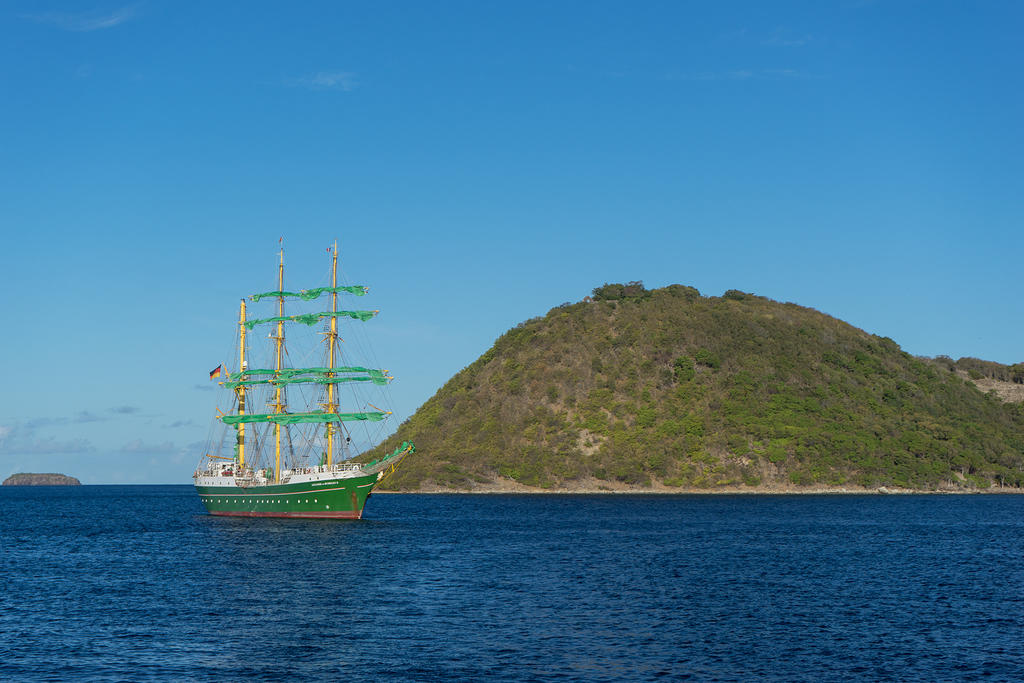 Alexander von Humboldt II