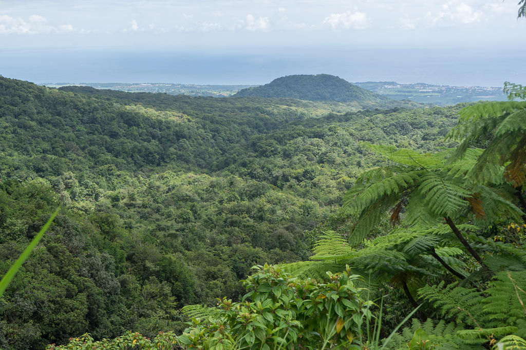 Basse-Terre