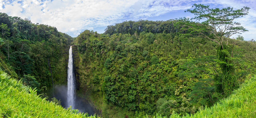 Akaka Falls panoramic