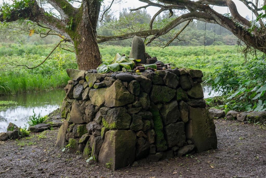 Offerings