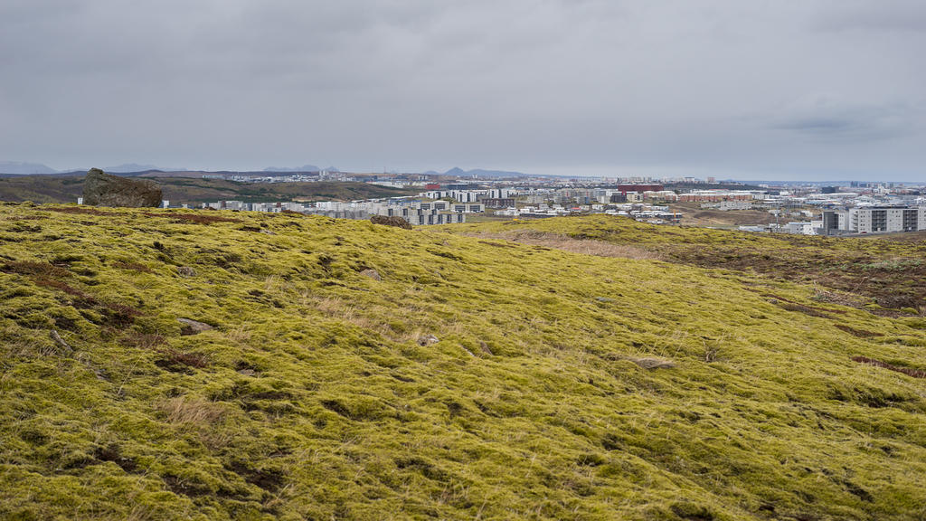 Reykjavík