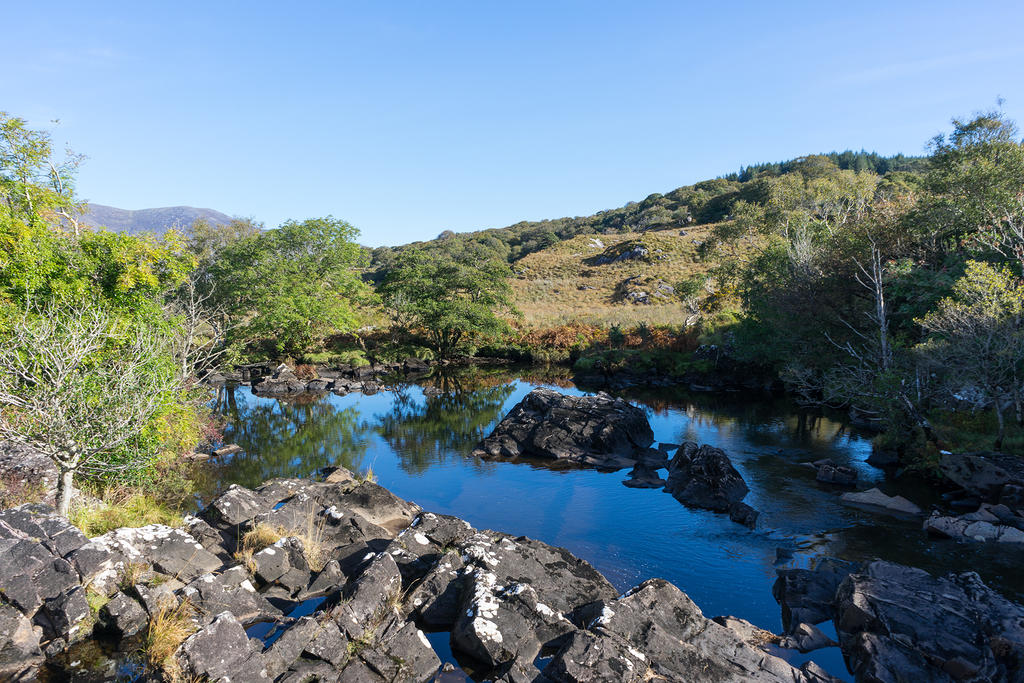 Stream and pond